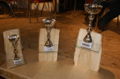 Vereinsschnapsen 2015