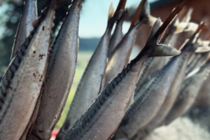 35. Bauernmarkt 2024