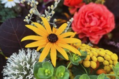 695D2A41-B1E1-483F-B182-164818E322B1