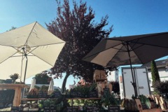 FCB2BC82-2755-4D2E-B74F-A3E2A3640FB8