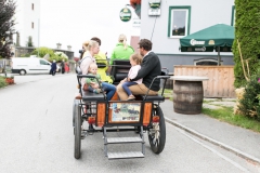 Bauernmarkt 2017