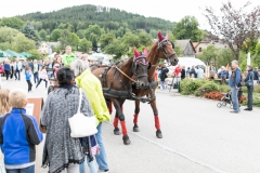 Bauernmarkt 2017