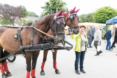 Bauernmarkt 2017