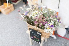Bauernmarkt 2017