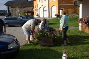 Bepflanzung 2017