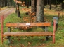 Wanderwege