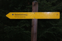 Nebelstein