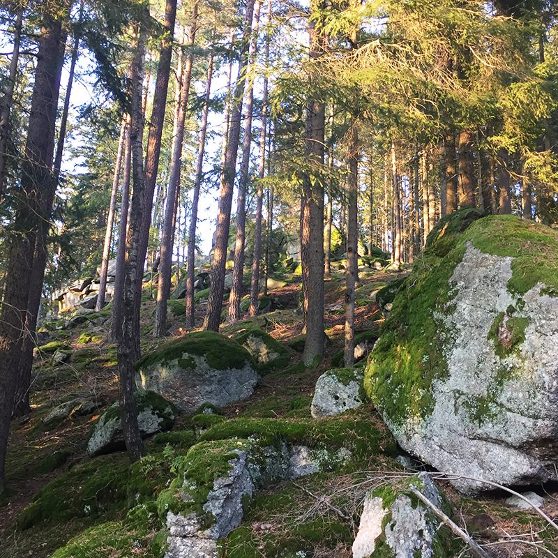Wanderwege