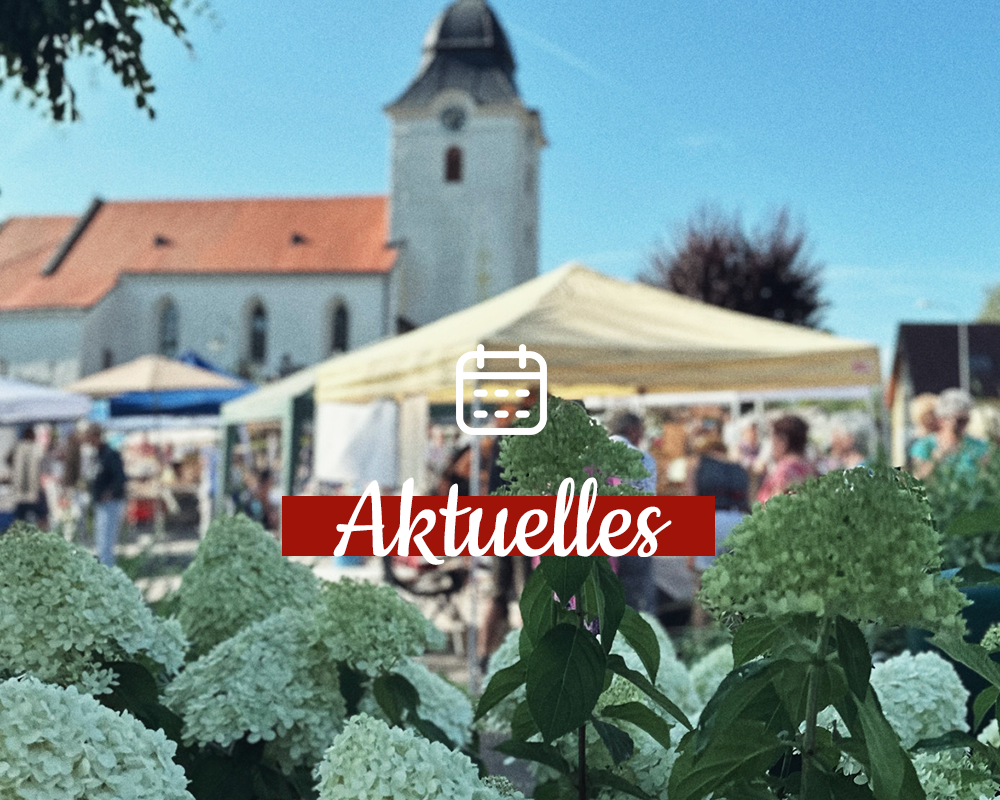 Aktuelles